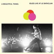 A beautiful thing:idles live a