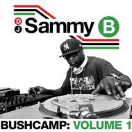 Bushcamp: volume 1 (Vinile)