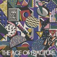 Age of fracture (Vinile)
