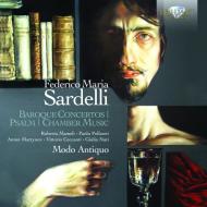 Concerti barocchi, salmi e opere cameris