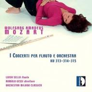 Concerto per flauto k 314 n.2 (285d) (17