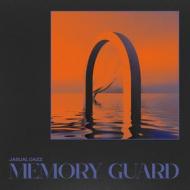 Memory guard (Vinile)