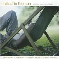 Chilled in the sun -18tr-