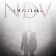 Invisible nick d'virgilio cd