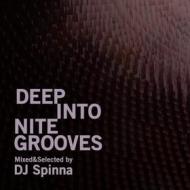 Deep into nite grooves by dj spinna