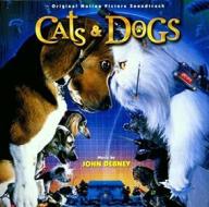 Cats & dogs