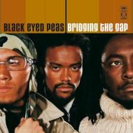 Bridging the gap (Vinile)