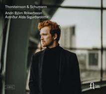 Thorsteinson & schumann