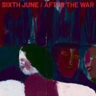 After the war (Vinile)