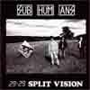 29 29 split vision