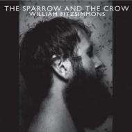 Sparrow & the crow