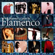 Beginners guide to flamenco