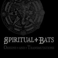 Origins and transmutations (box 4 cd)