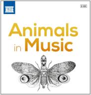 Animals in music - animali in musica