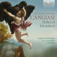 Scherzi forastieri
