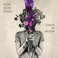 Chaos in bloom (Vinile)