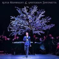 Rufus wainwright & amsterdam sinfonietta