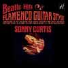Beatle hits flamenco guitar style