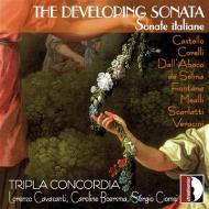 Sonata per flauto dolce e bc op 5 n.7 in