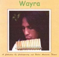 Collection of contemporary & native american theme