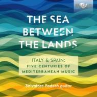 The sea between the lands - 5 secoli di musica mediterraea