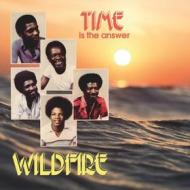 Time is the answer (Vinile)