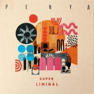 Super liminal (Vinile)