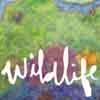 Wildlife (Vinile)
