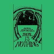 There is nothing (Vinile)