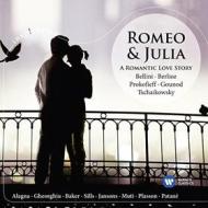 Romeo and julia: a romantic love story (inspiration series)
