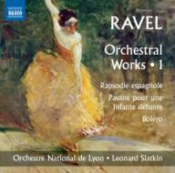 Integrale delle opere orchestrali, vol.1