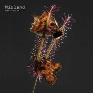 Midland Midland