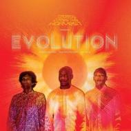 Evolution (Vinile)