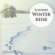 Schubert: winterreise (inspiration)