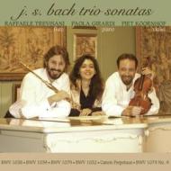 Sonata per flauto bwv1038, trio sonata bwv1039, sonata per flauto bwv1032