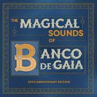 The magical sounds of banco de gaia 20th