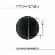 Everything is in perspective (Vinile)