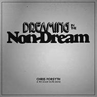 Dreaming in the non-dream (Vinile)