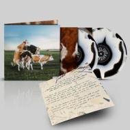 Tutta vita (sempre) - 2lp muccato (Vinile)