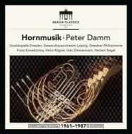 Horn musik: peter damm