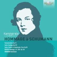 Hommage a schumann