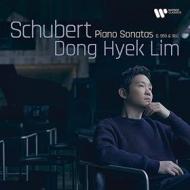 Schubert: piano sonatas d. 959