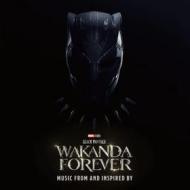Black panther wakanda forever