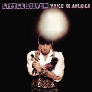 Voice of america (Vinile)
