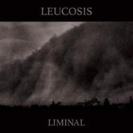 Liminal (Vinile)