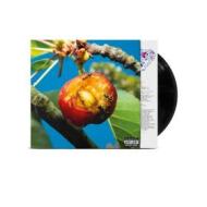 Discordia, armonia e altri stati d'animo (Vinile)