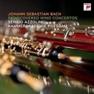Bach j.s.: concerto per fagotto (ricostruzione)