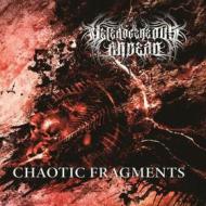 Chaotic fragments