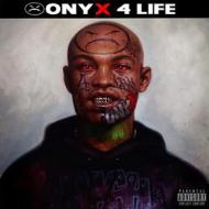 Onyx 4 life (silver) (Vinile)