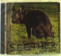 Seether: 2002-13